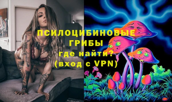 apvp Алексин