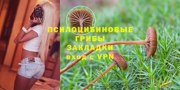 гидра Абдулино