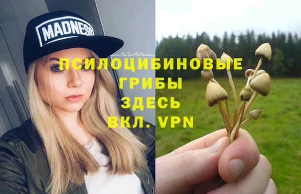 твердый Алзамай