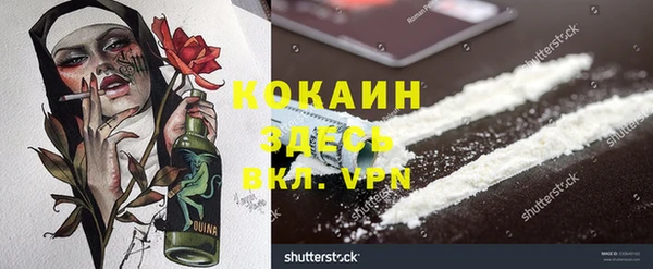 ПСИЛОЦИБИНОВЫЕ ГРИБЫ Абаза